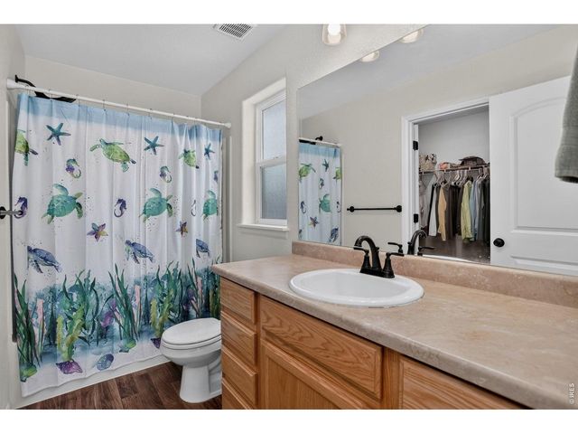 703 Cavern St, Severance, CO 80550