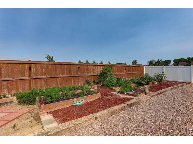 703 Cavern St, Severance, CO 80550