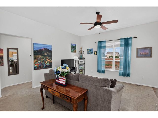 703 Cavern St, Severance, CO 80550