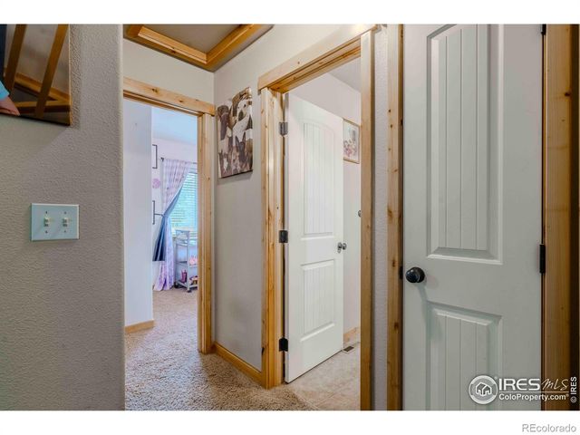 75 Lodgepole Drive, Windsor, CO 80550