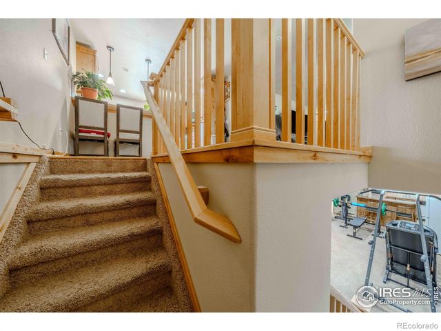 75 Lodgepole Drive, Windsor, CO 80550