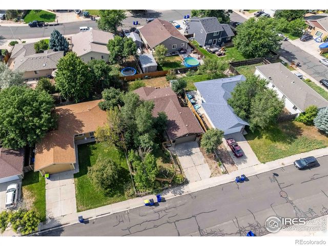 75 Lodgepole Drive, Windsor, CO 80550