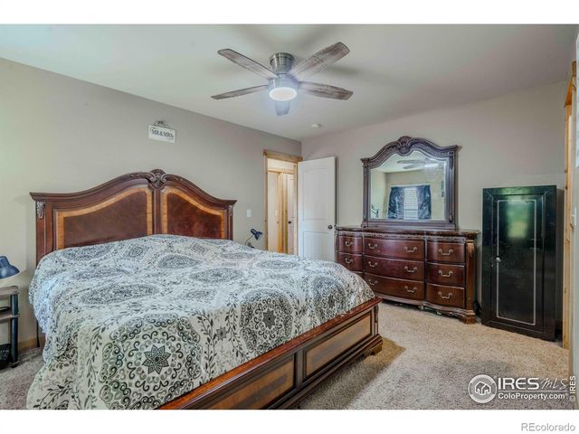 75 Lodgepole Drive, Windsor, CO 80550