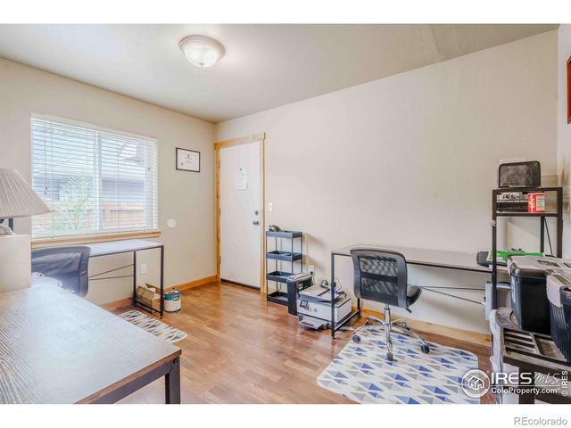 75 Lodgepole Drive, Windsor, CO 80550