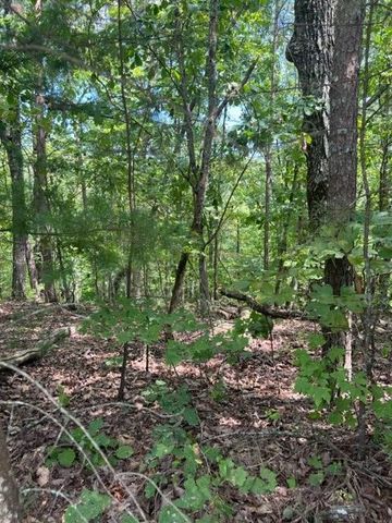 LT 4 Hunter Ridge, Ellijay, GA 30540