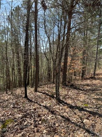 LT 4 Hunter Ridge, Ellijay, GA 30540