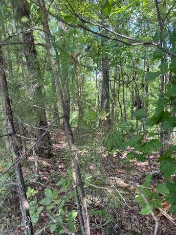 LT 4 Hunter Ridge, Ellijay, GA 30540