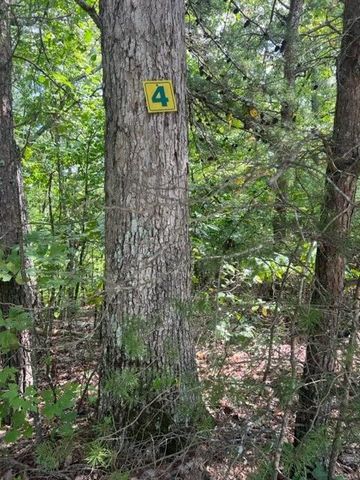 LT 4 Hunter Ridge, Ellijay, GA 30540