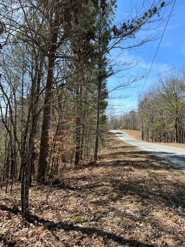 LT 4 Hunter Ridge, Ellijay, GA 30540