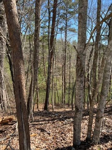 LT 4 Hunter Ridge, Ellijay, GA 30540
