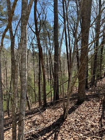 LT 4 Hunter Ridge, Ellijay, GA 30540