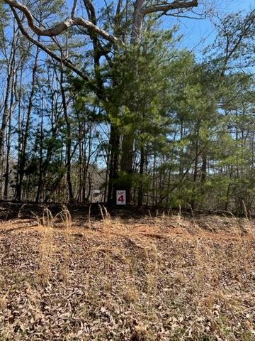 LT 4 Hunter Ridge, Ellijay, GA 30540