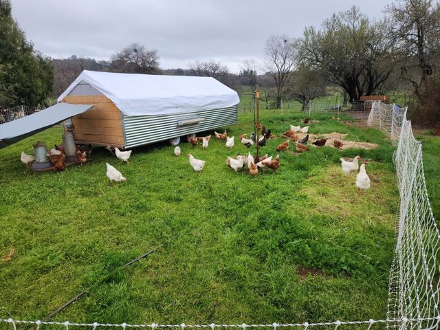 21424 Shenandoah School Rd, Plymouth, CA 95669