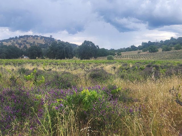 21424 Shenandoah School Rd, Plymouth, CA 95669