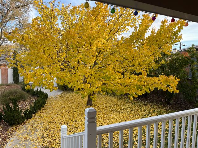 412 11th Street NW, Albuquerque, NM 87102