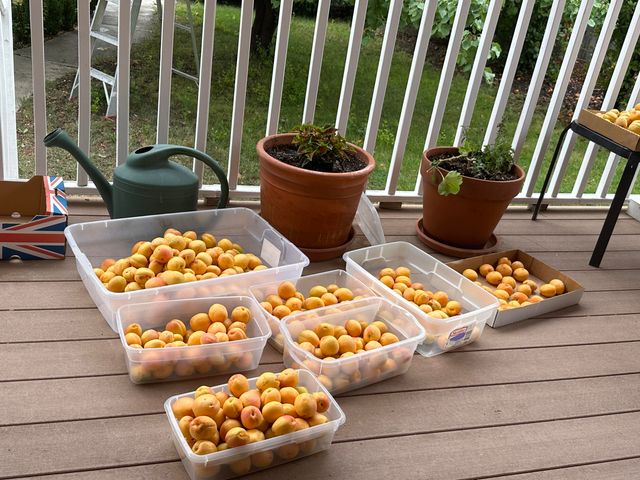 412 11th Street NW, Albuquerque, NM 87102