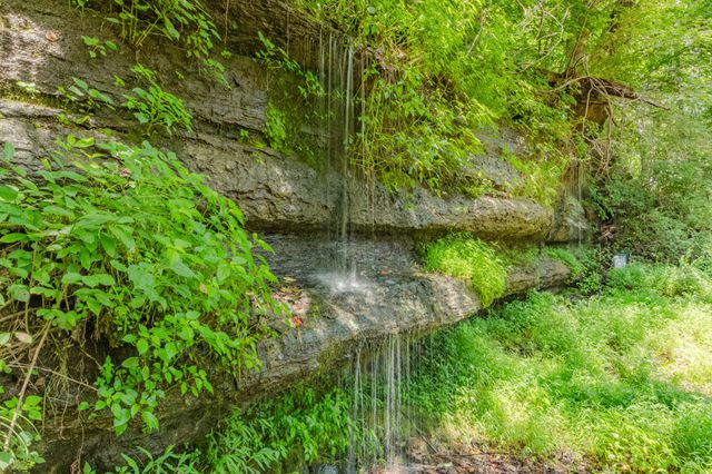 1240 Sumac Rd, Pulaski, TN 38478