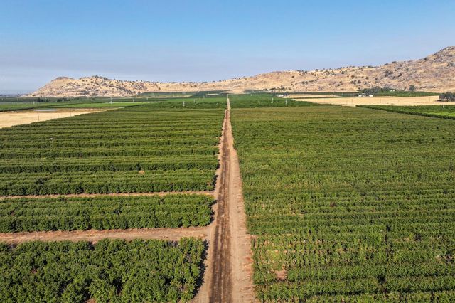 3905 S Hills Valley Road, Orange Cove, CA 93646