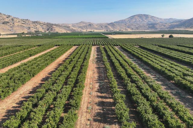 3905 S Hills Valley Road, Orange Cove, CA 93646