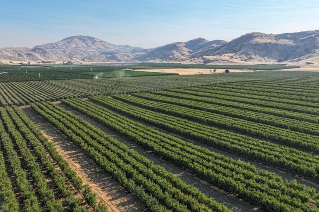 3905 S Hills Valley Road, Orange Cove, CA 93646