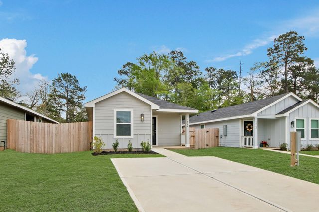 14546 William Trails Drive, Willis, TX 77378