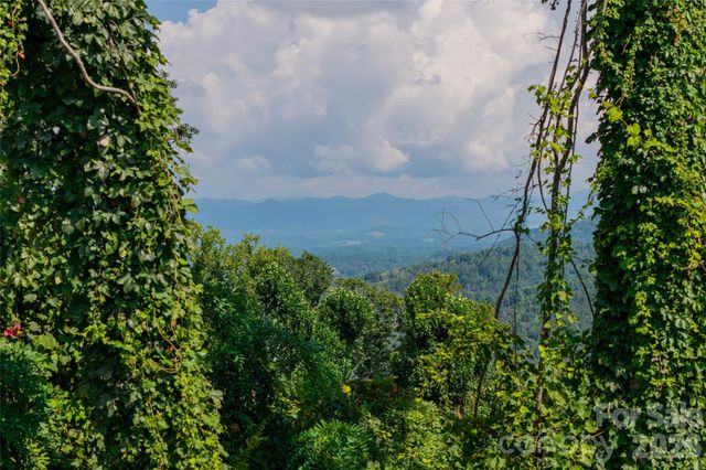 44 Longstreet Court 5, Weaverville, NC 28787