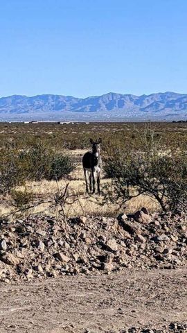 4597 Hopi Road, Golden Valley, AZ 86413
