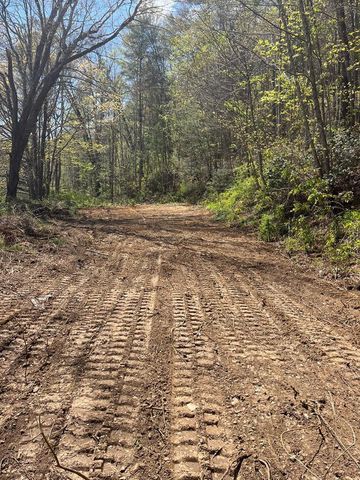 1960 Atoah Road, Robbinsville, NC 28771