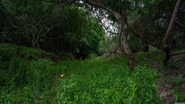 1251 County Road 210, Floresville, TX 78114