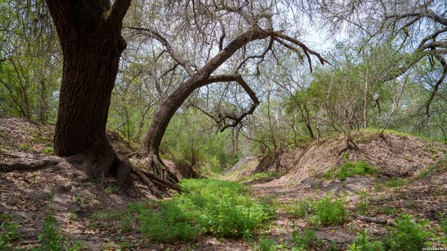 1251 County Road 210, Floresville, TX 78114