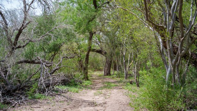 1251 County Road 210, Floresville, TX 78114