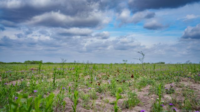 1251 County Road 210, Floresville, TX 78114