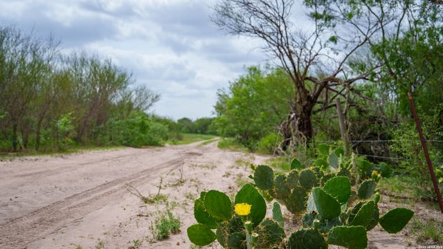 1251 County Road 210, Floresville, TX 78114
