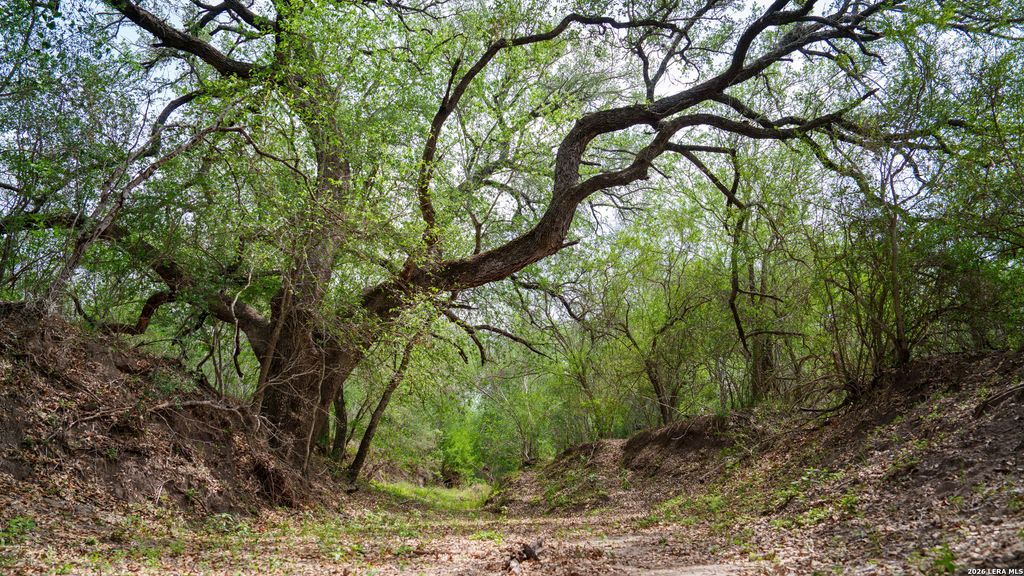 1251 County Road 210, Floresville, TX 78114