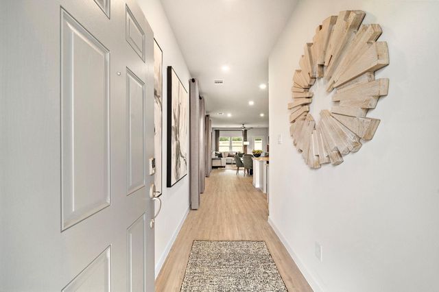 29230 Dandelion Sky Drive, Waller, TX 77484