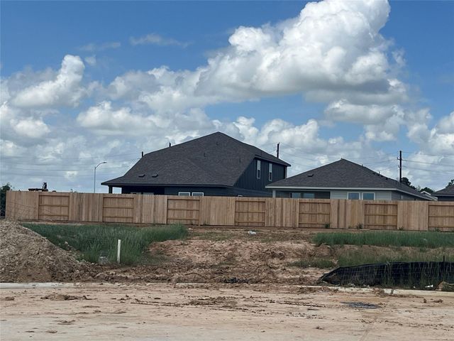 29230 Dandelion Sky Drive, Waller, TX 77484