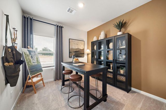 29230 Dandelion Sky Drive, Waller, TX 77484