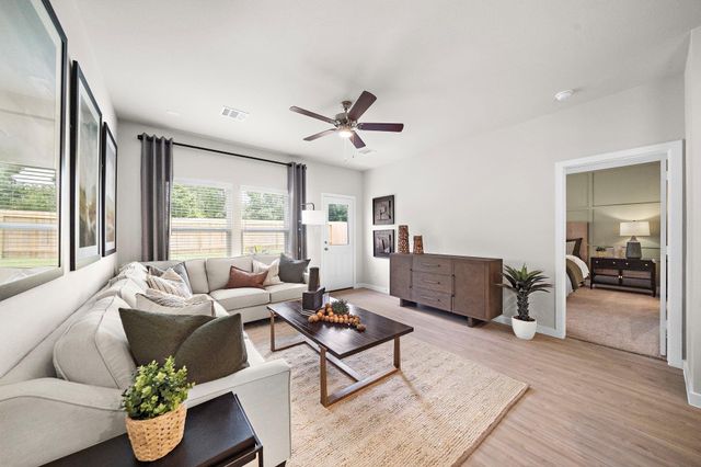 29230 Dandelion Sky Drive, Waller, TX 77484