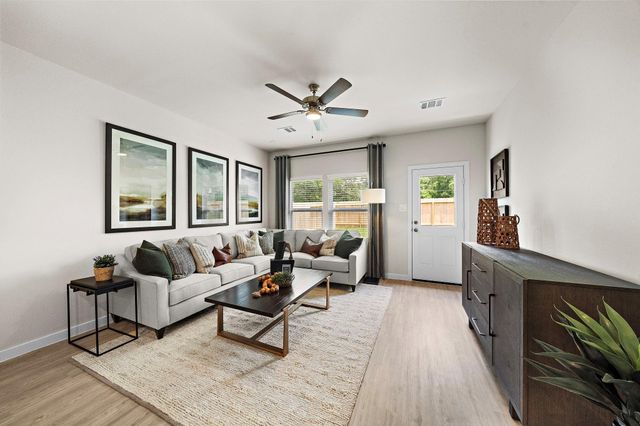 29230 Dandelion Sky Drive, Waller, TX 77484