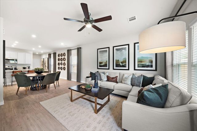 29230 Dandelion Sky Drive, Waller, TX 77484