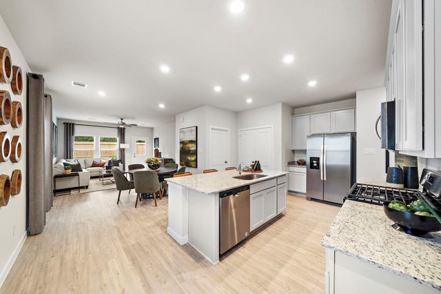 29230 Dandelion Sky Drive, Waller, TX 77484