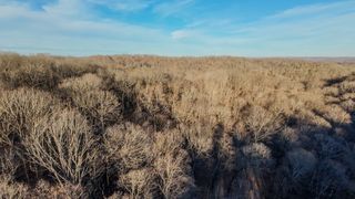 1843D Garrison Branch Rd, Cottontown, TN 37048