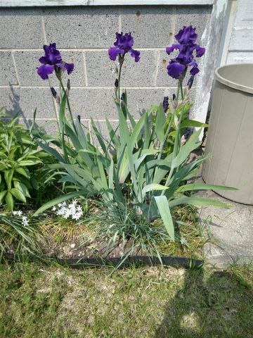 14 S 5th Street, Morley, MI 49336