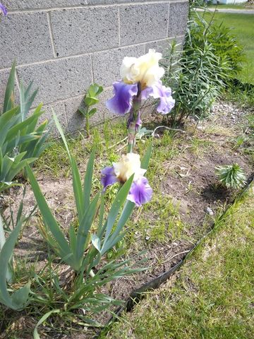 14 S 5th Street, Morley, MI 49336