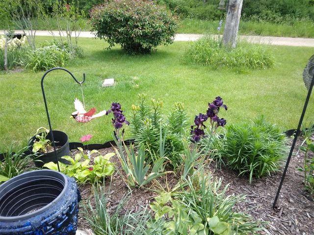 14 S 5th Street, Morley, MI 49336