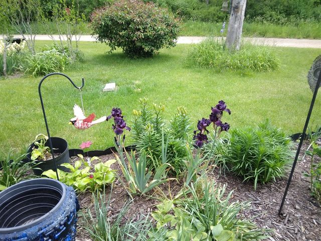 14 S 5th Street, Morley, MI 49336