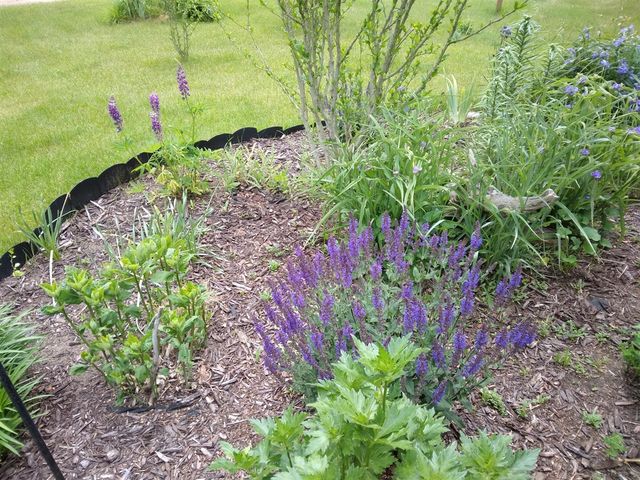 14 S 5th Street, Morley, MI 49336