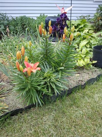 14 S 5th Street, Morley, MI 49336