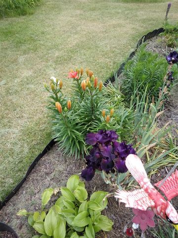 14 S 5th Street, Morley, MI 49336