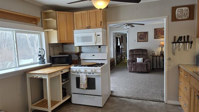 14 S 5th Street, Morley, MI 49336